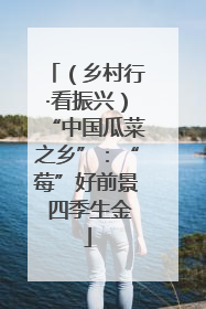 （乡村行·看振兴）“中国瓜菜之乡”：“莓”好前景 四季生金